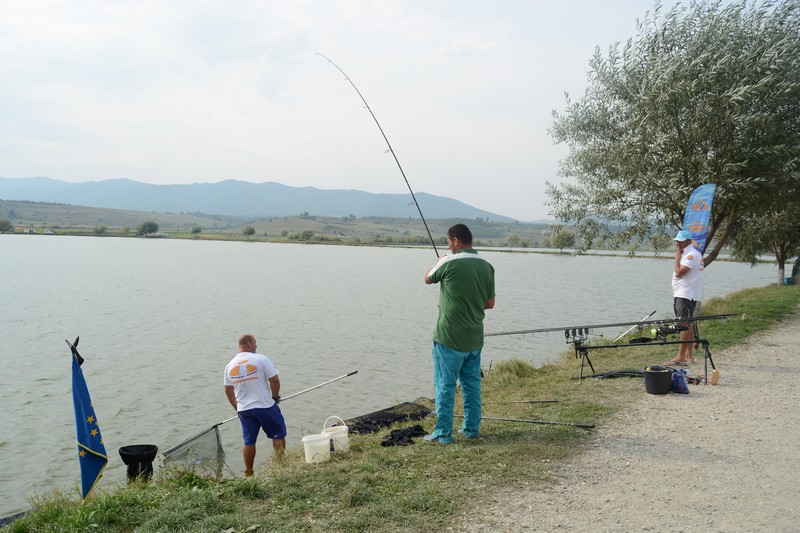 DSC_1973.jpg