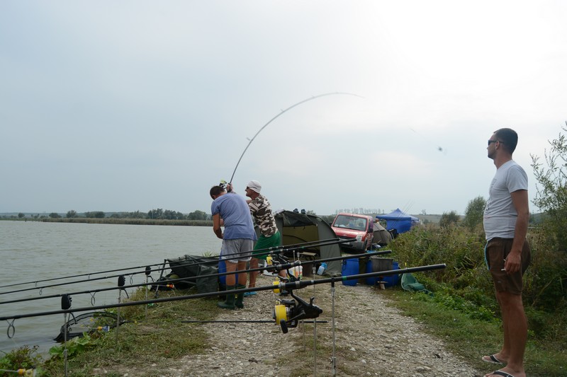 DSC_2005.jpg