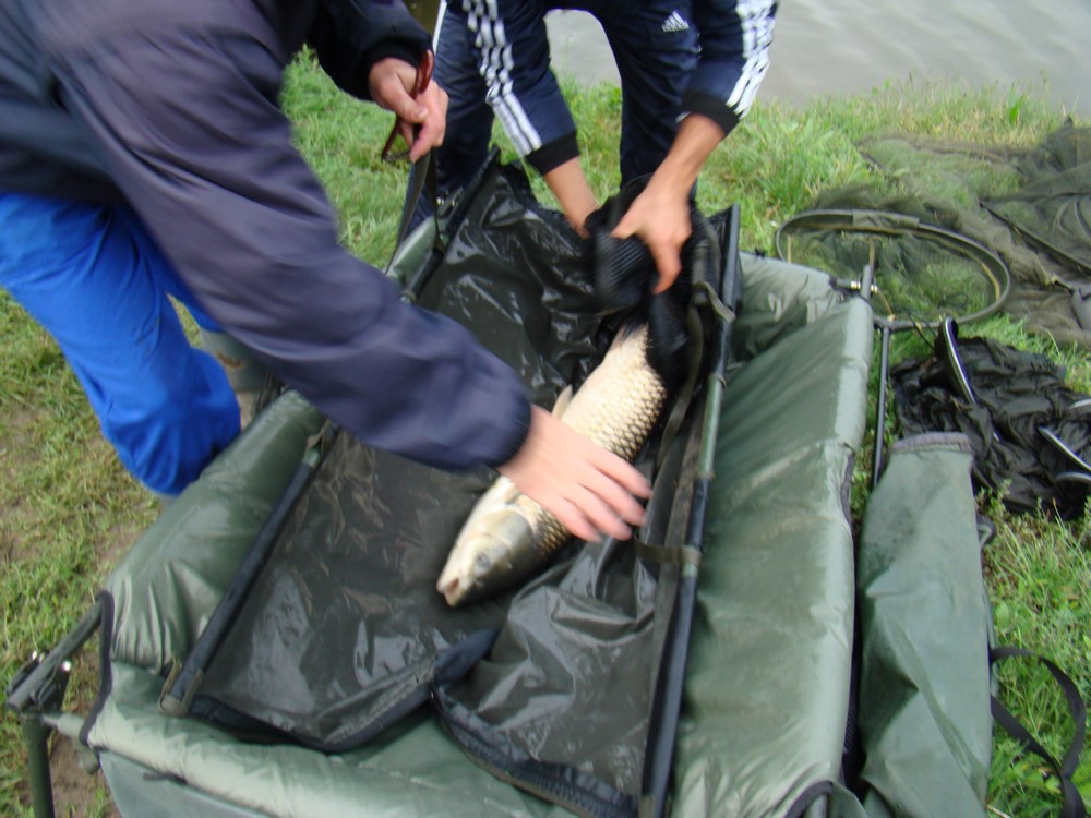 DSC08772 (Copy).JPG