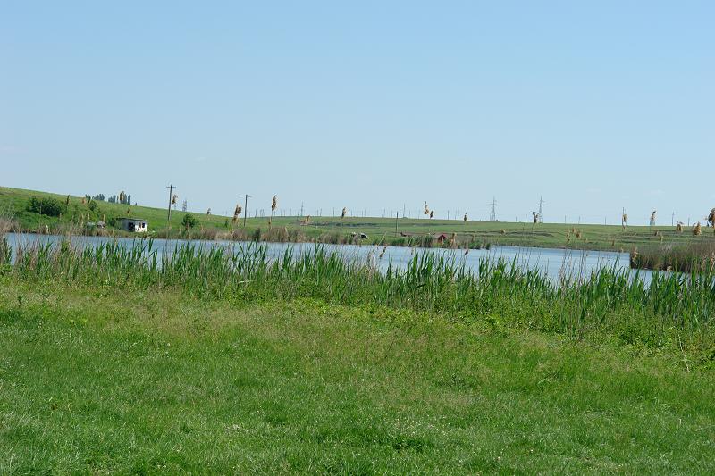 DSC05987.jpg
