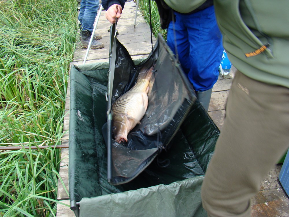 DSC08790 (Copy).JPG