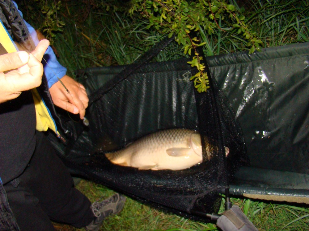 DSC08923 (Copy).JPG