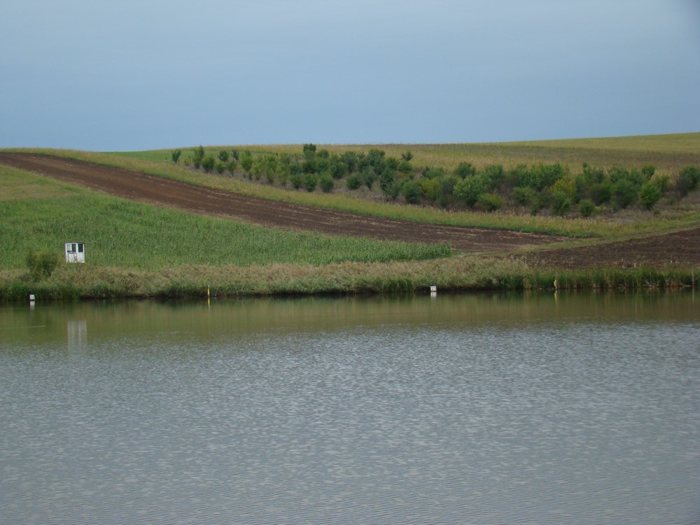 DSC09126 (Copy).JPG