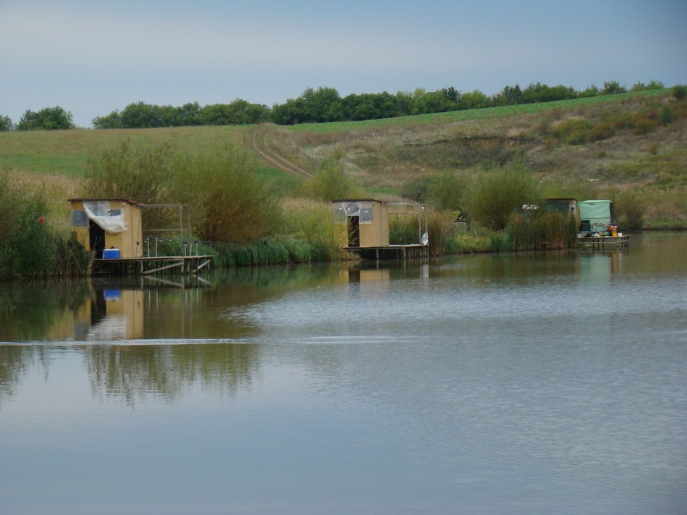 DSC09128 (Copy).JPG