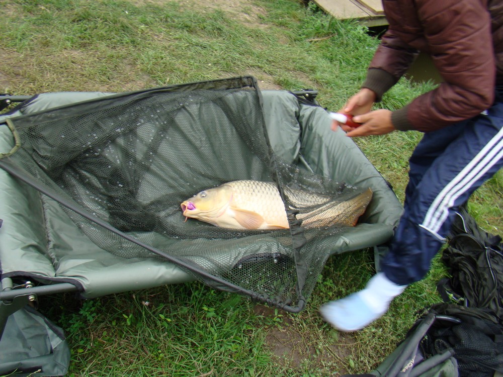 DSC09168 (Copy).JPG