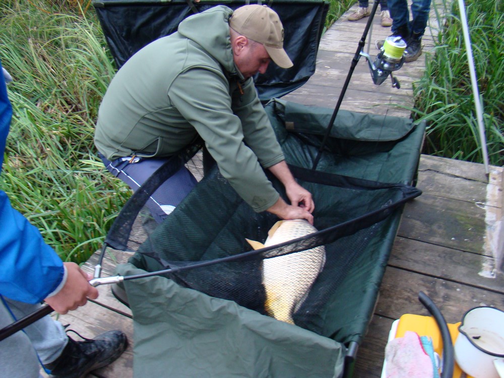 DSC08717 (Copy).JPG