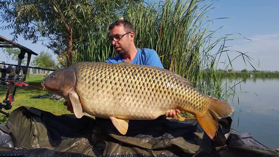 23,15 kg Radu Monster Carp Lake.jpg