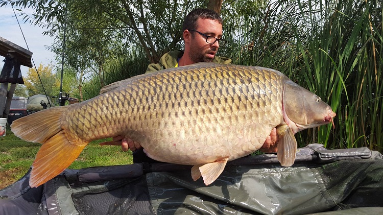 26 kg Radu Monster Carp Lake.jpg