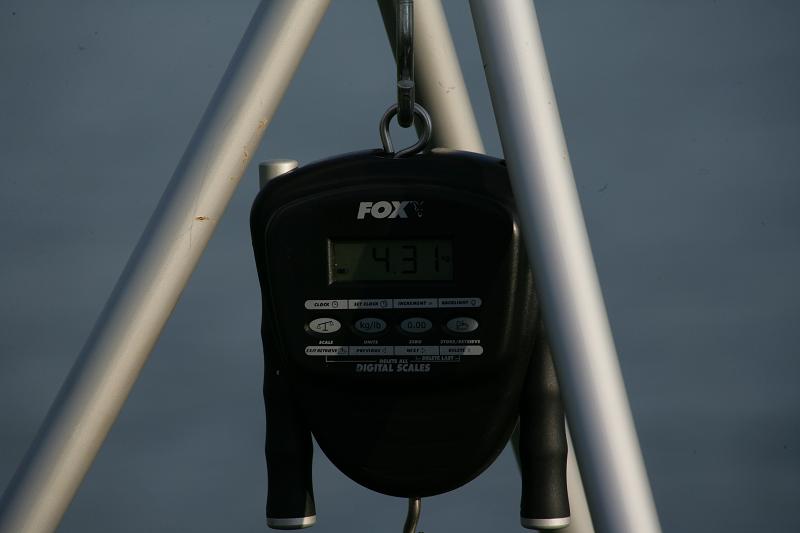 ZQ0B3416.jpg
