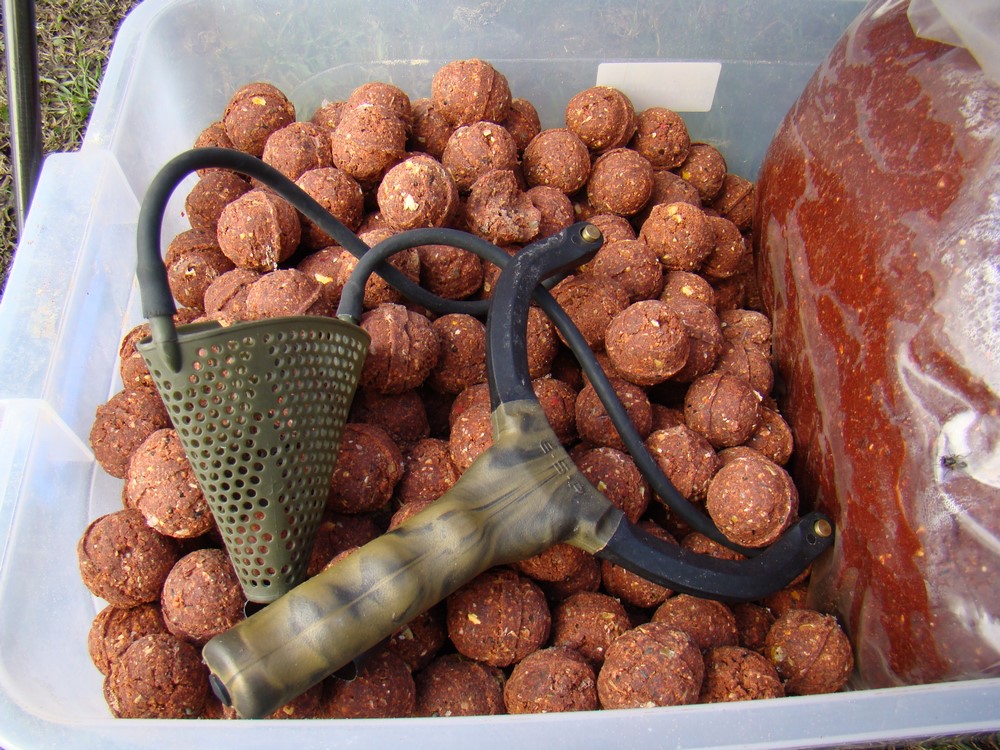 DSC09433 (Copy).JPG