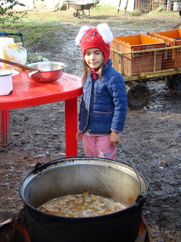 DSC09479 (Copy).JPG