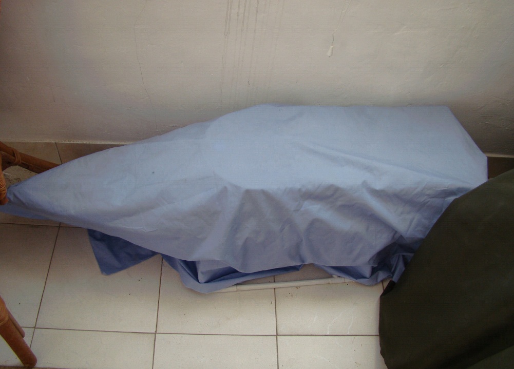 DSC08315.JPG