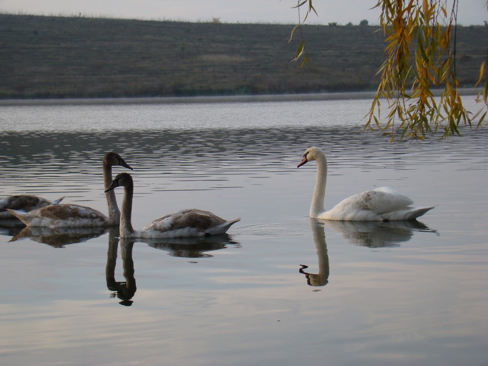 DSC09662 (Copy).JPG