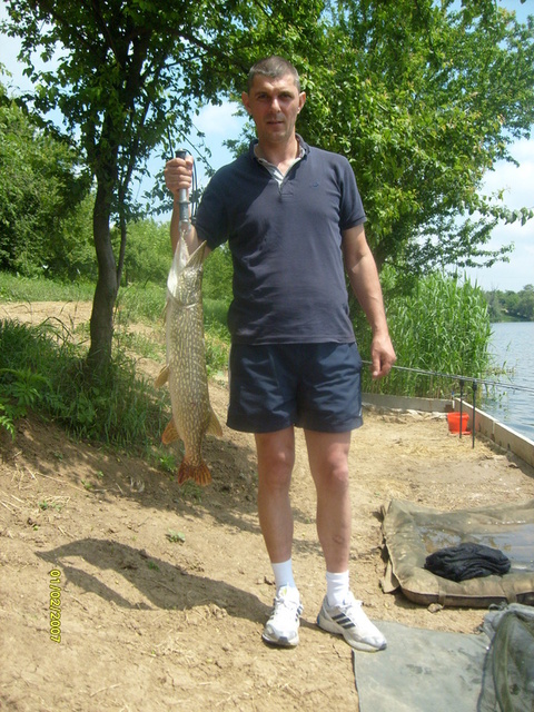 stiuca2.jpg