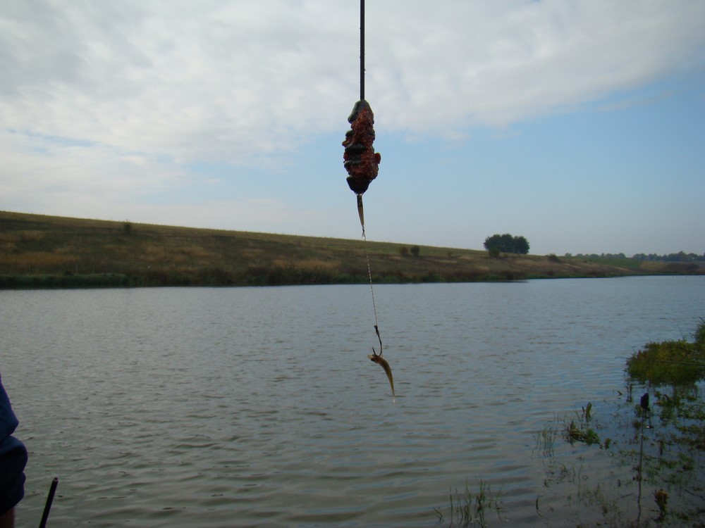 DSC09728 (Copy).JPG
