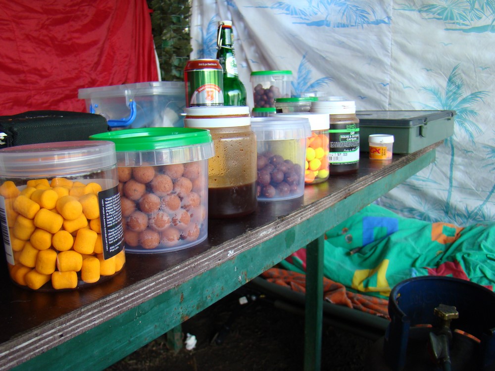 DSC09754 (Copy).JPG