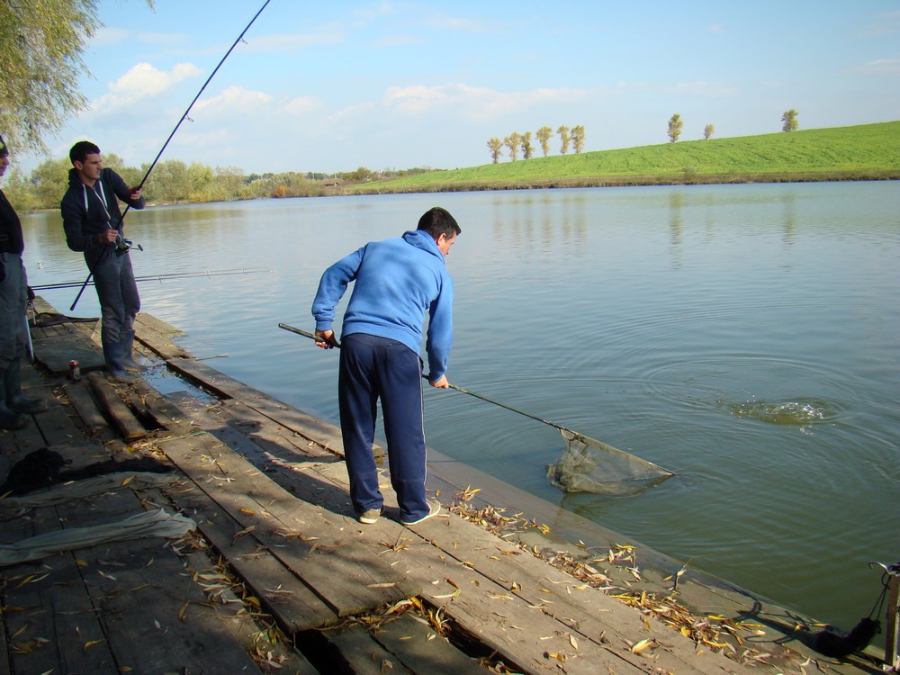DSC09751 (Copy).JPG