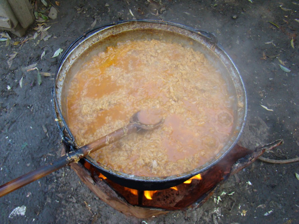 DSC09766 (Copy).JPG