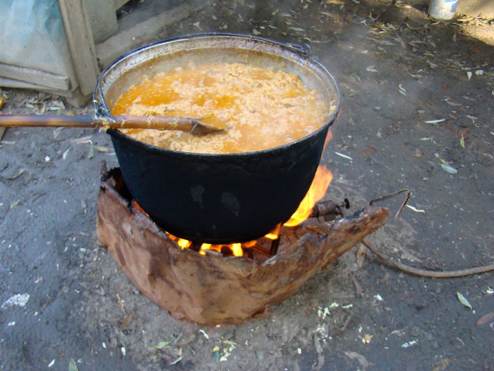 DSC09764 (Copy).JPG