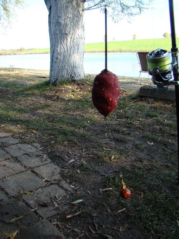 DSC09755 (Copy).JPG