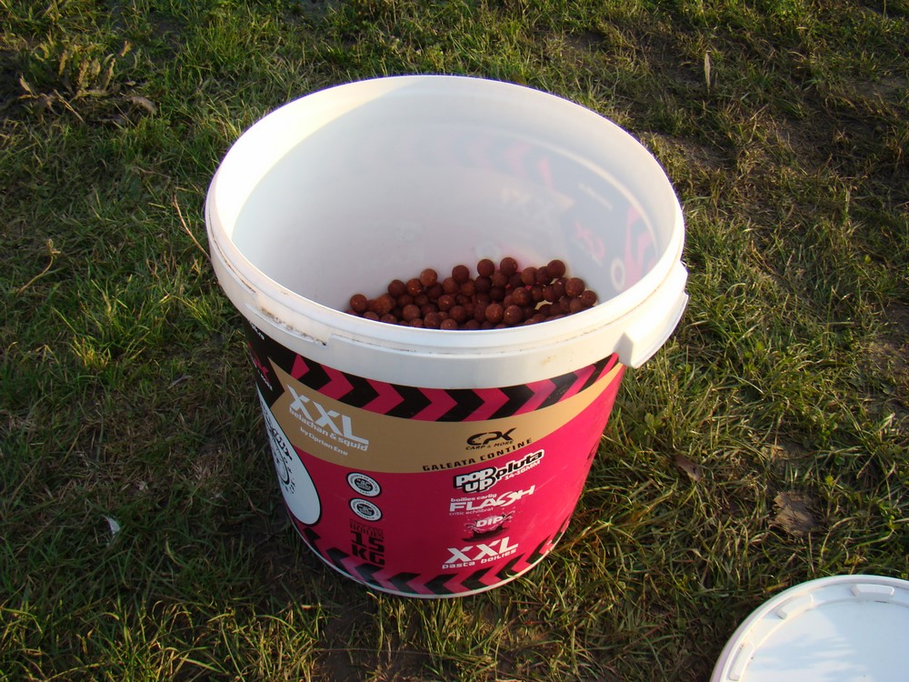 DSC09795 (Copy).JPG