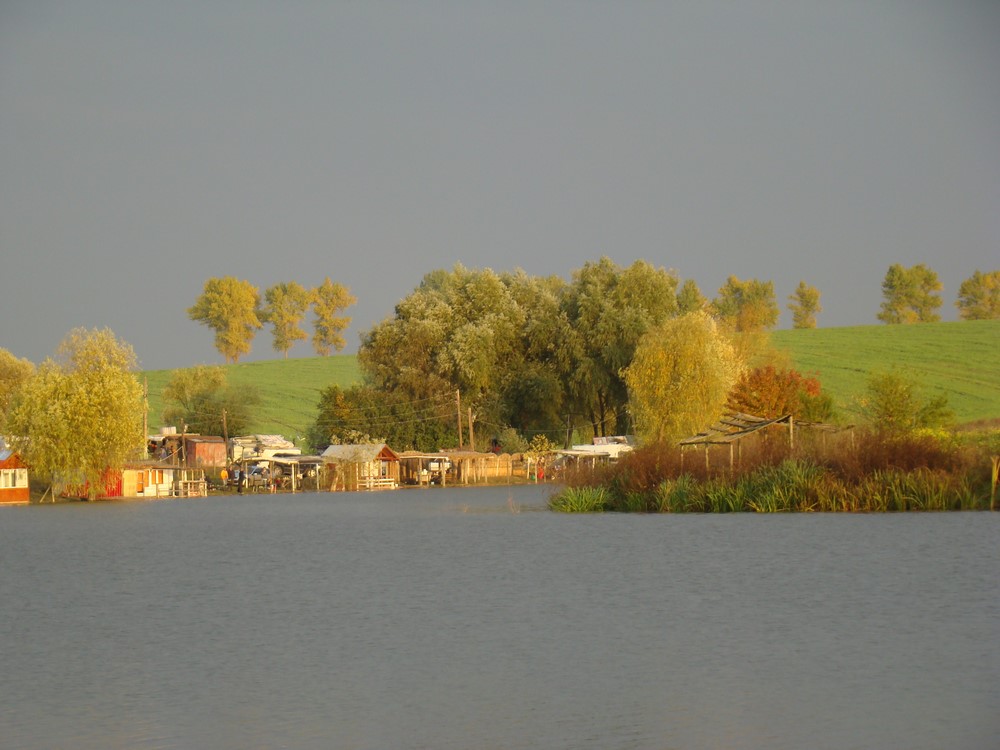 DSC09821 (Copy).JPG