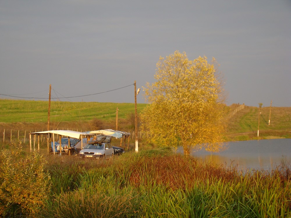 DSC09830 (Copy).JPG