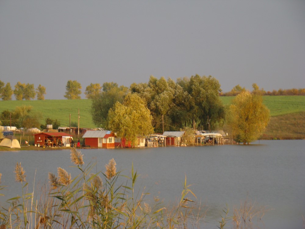 DSC09829 (Copy).JPG