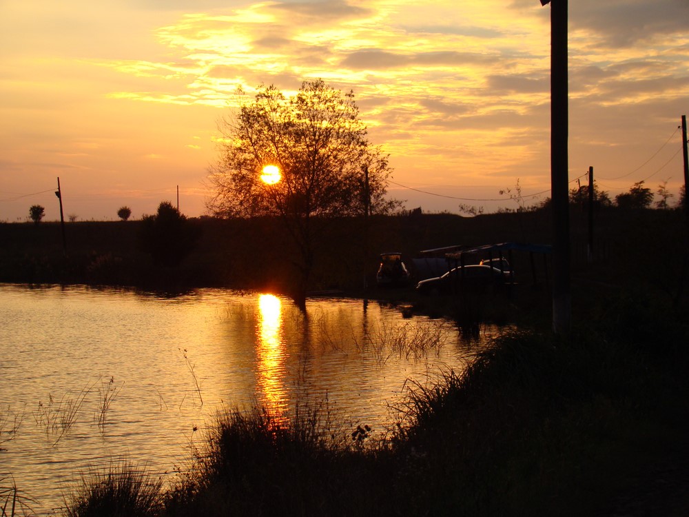 DSC09844 (Copy).JPG