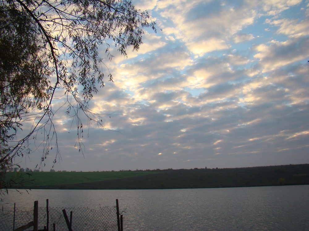 DSC09955 (Copy).JPG