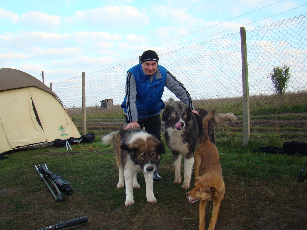 DSC09975 (Copy).JPG
