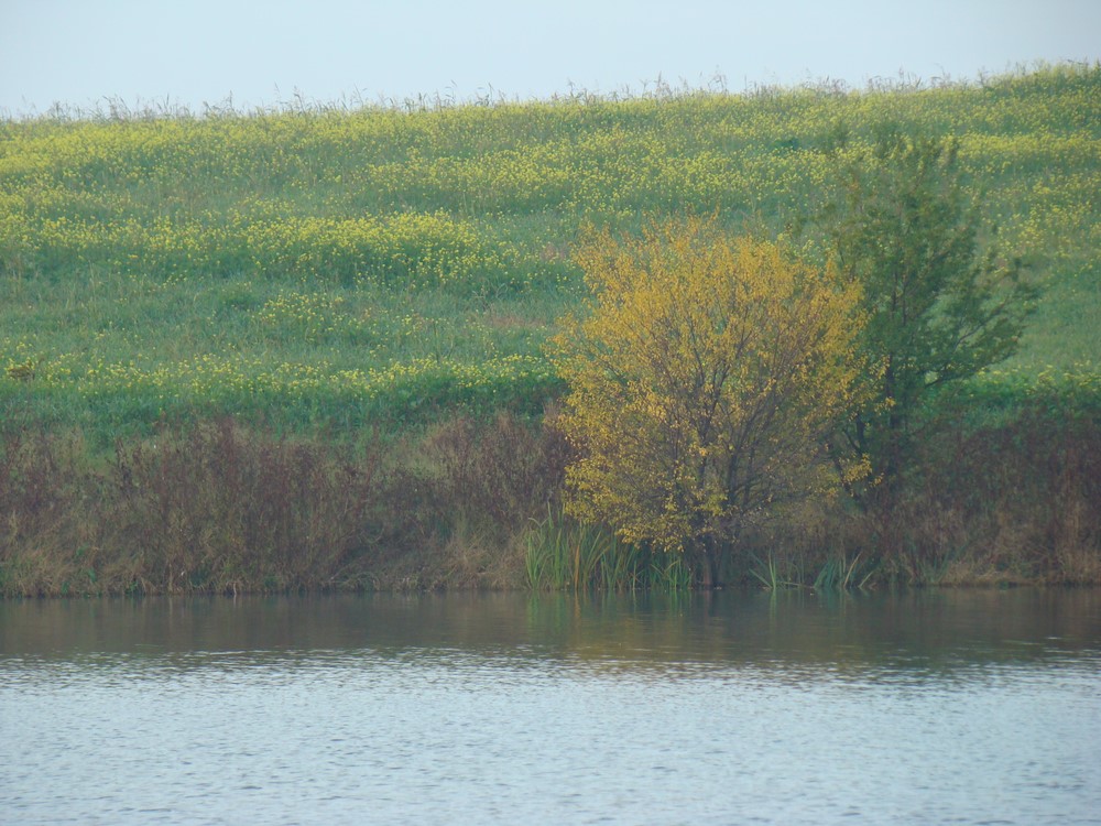 DSC09971 (Copy).JPG