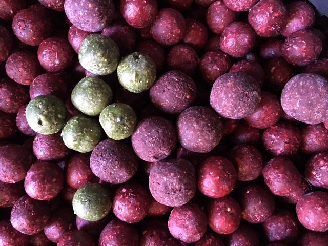 BOILIES10KG.JPG