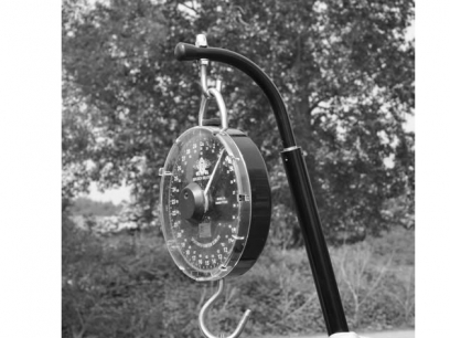 easylift-weigh-hook-4676-2.jpg
