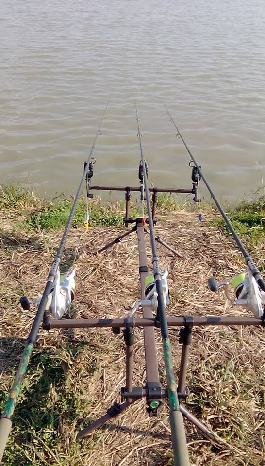 12187690_1043535152363591_1439912889173769546_n (1).jpg