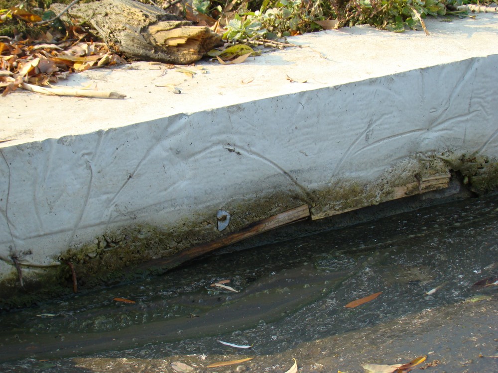 DSC00193 (Copy).JPG