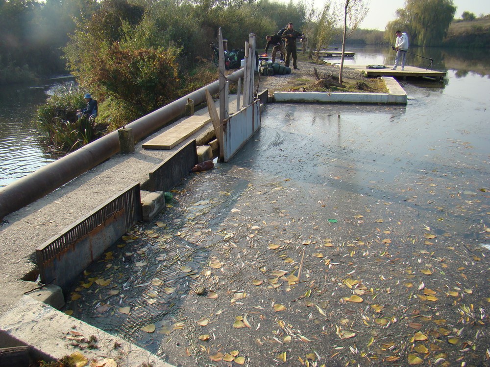 DSC00189 (Copy).JPG