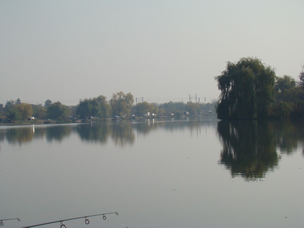 DSC00244 (Copy).JPG