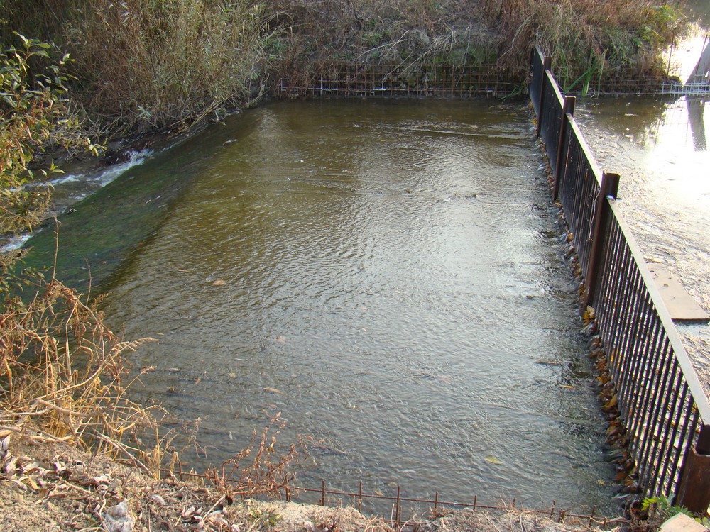 DSC00284 (Copy).JPG