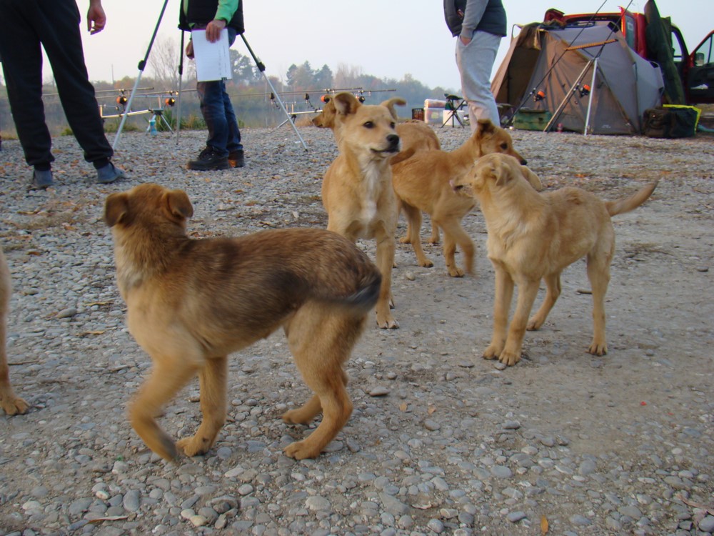 DSC00302 (Copy).JPG