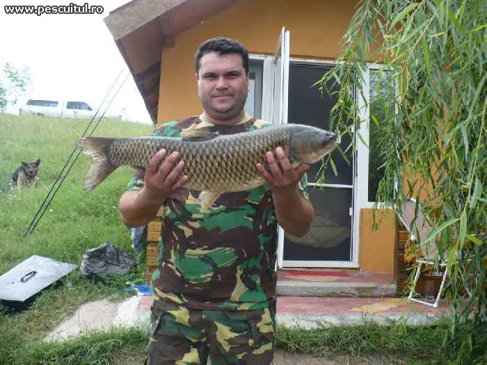 Lacul Lazar - 4.jpg