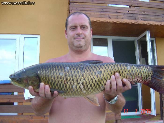 Lacul Lazar - 7.jpg
