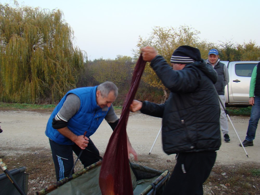 DSC00366 (Copy).JPG