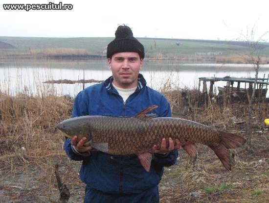 Lacul Lazar - 11.jpg