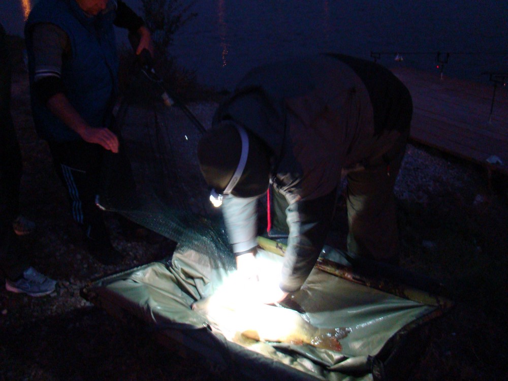 DSC00433 (Copy).JPG