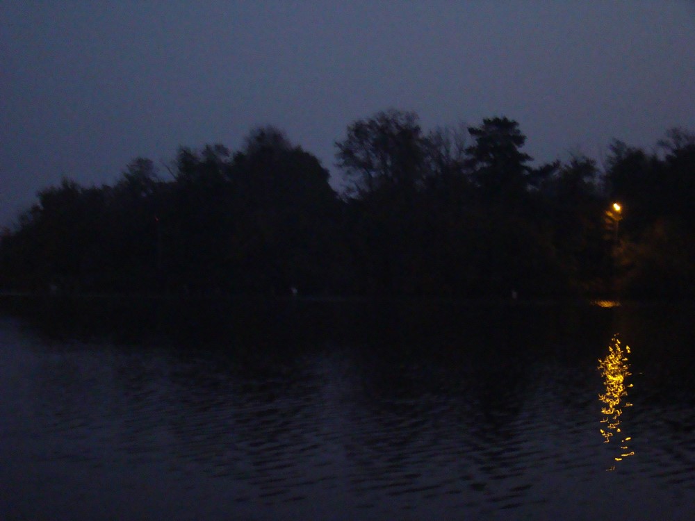 DSC00423 (Copy).JPG
