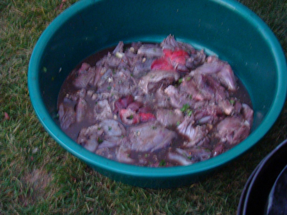 DSC00404 (Copy).JPG
