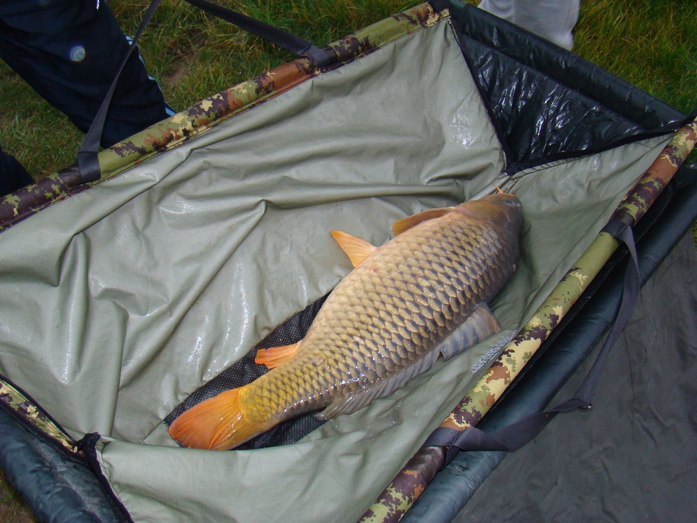 DSC00525 (Copy).JPG