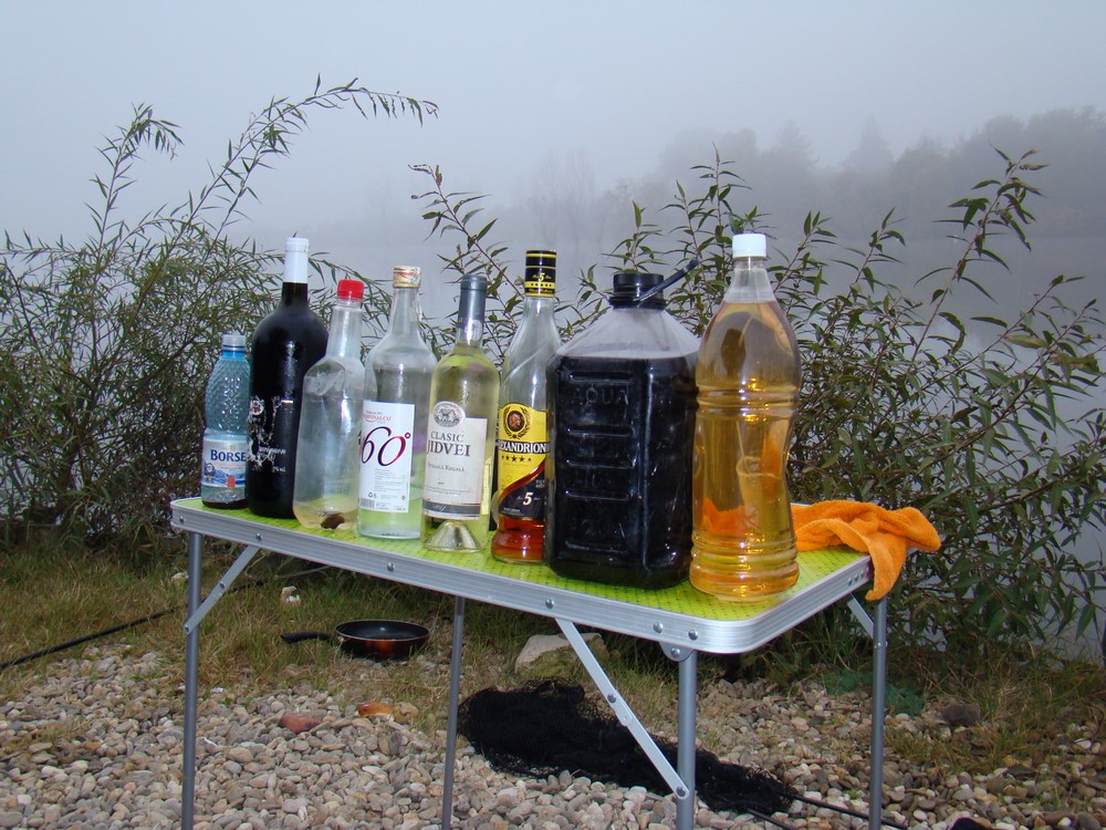 DSC00533 (Copy).JPG