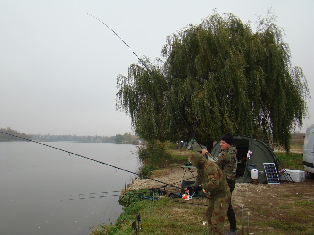 DSC00612 (Copy).JPG